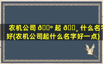 农机公司 🌺 起 🌸 什么名字好(农机公司起什么名字好一点)